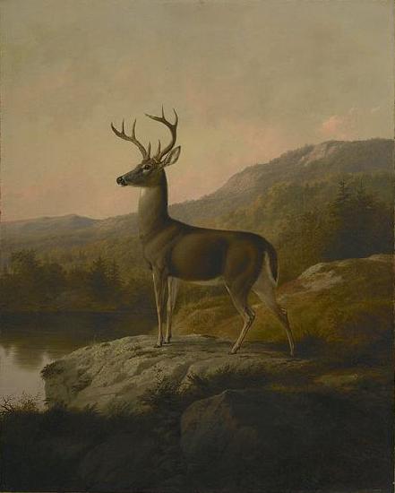 unknow artist Deer oil painting image